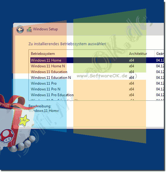 Wer Verwendet eine Windows-11-Universal-ISO oder -DVD!